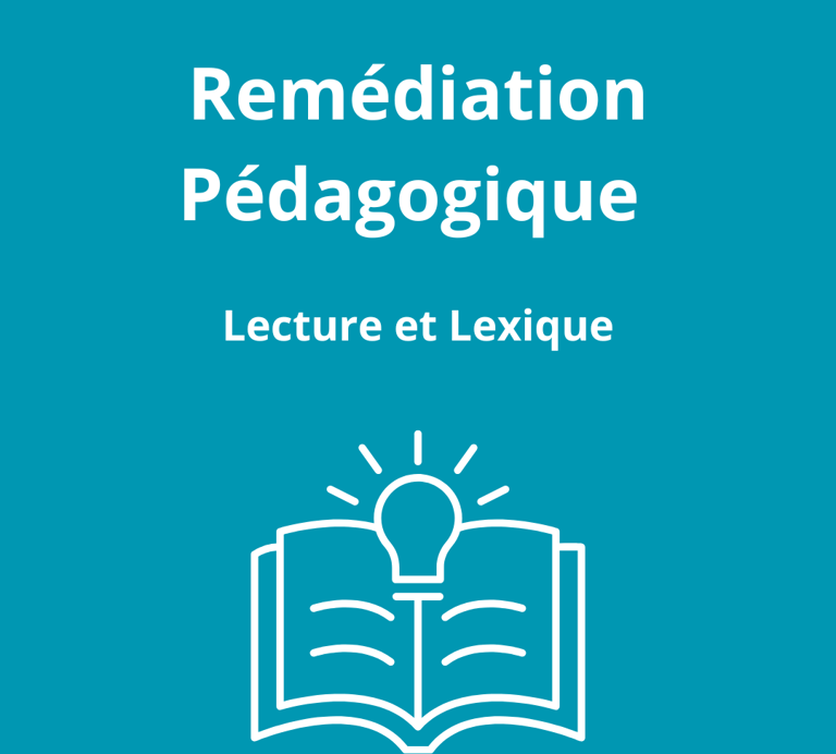 lecture compréhension lexique vocabulaire soutien scolaire aide aux devoirs français tarbes visio en