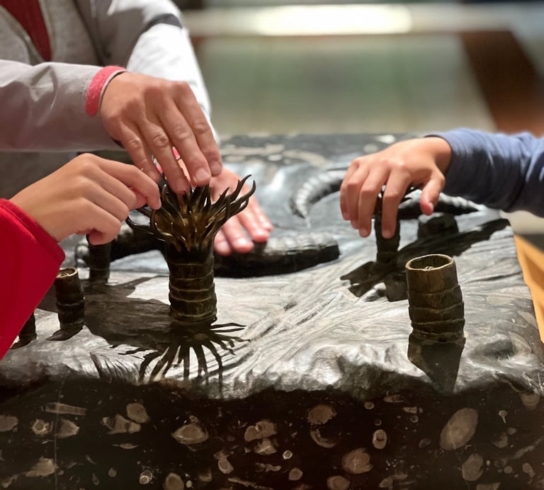 Fot. Justyna Józefowicz, Newcastle