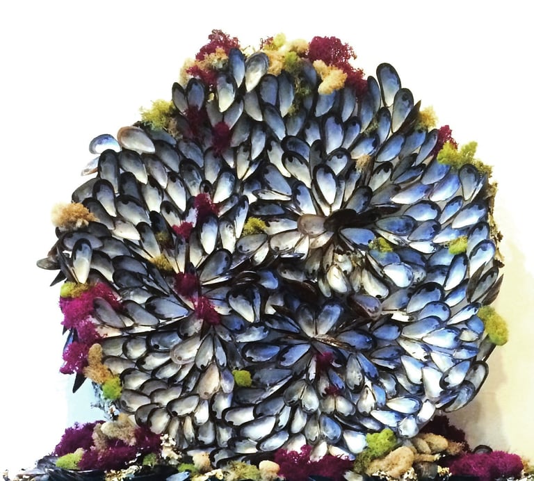 a mandala of mussels and flowers
