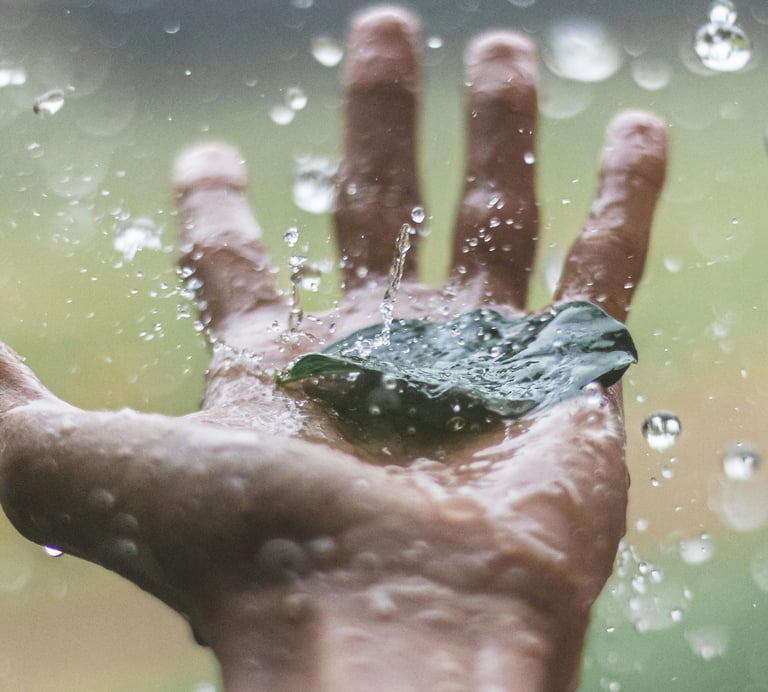 Rain water hitting a leaf