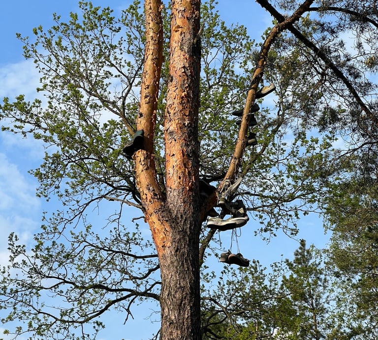 Fot. Justyna Józefowicz, gdzieś pod Warszawą