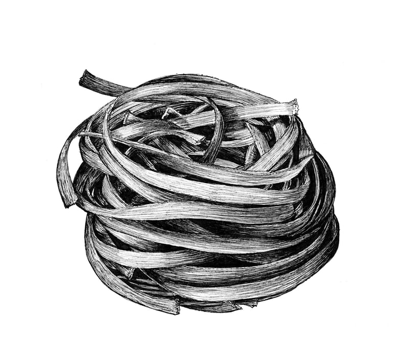 Pasta fettuccini illustration