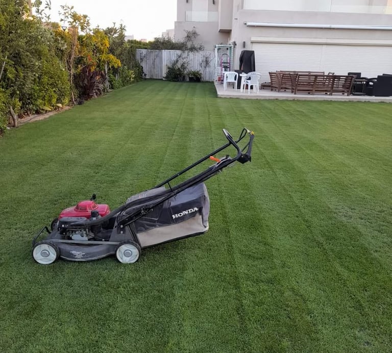 تنسيق حدائق بالرياض