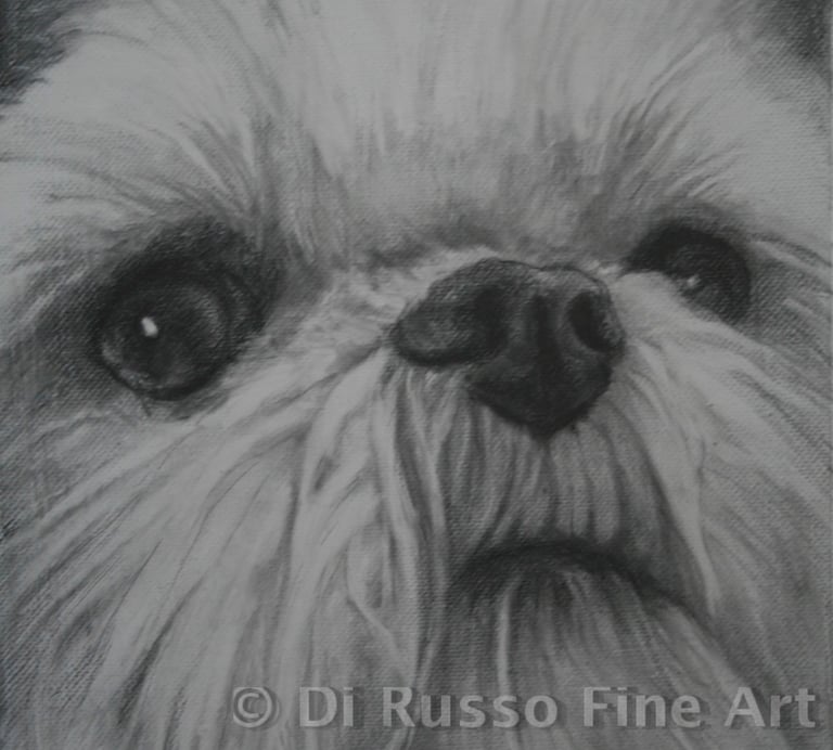 "Ellie Liberti"  Pencil on Canvas 8"x10"