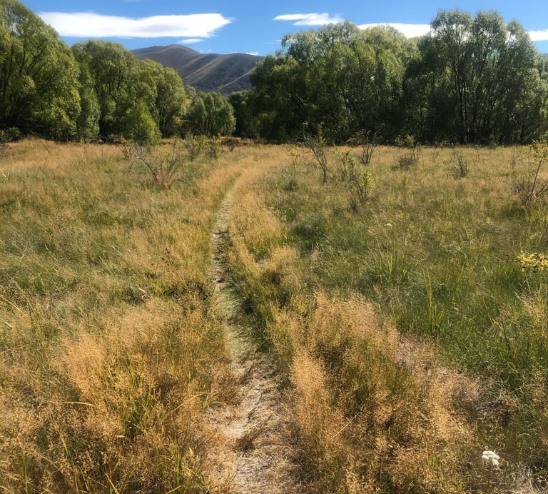 Start Where You Are Beginning Consultation