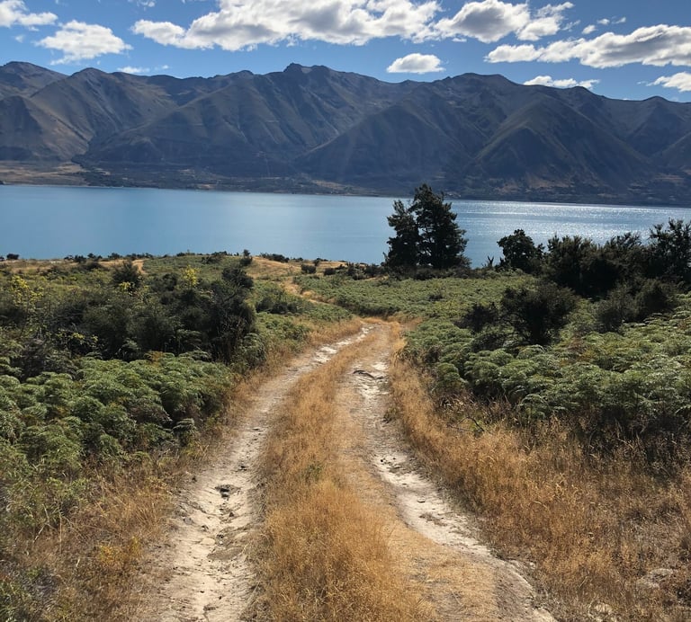 Nature path symbolizing perinatal yoga support for mothers