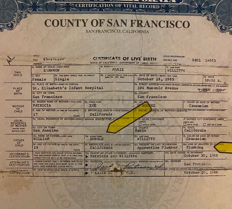 Bill Willittts has been lying since the day Shannon Falk was born