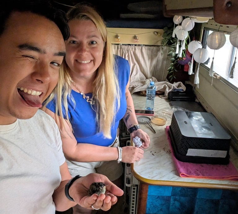 Small rescued bird in camper hand during Poland road trip