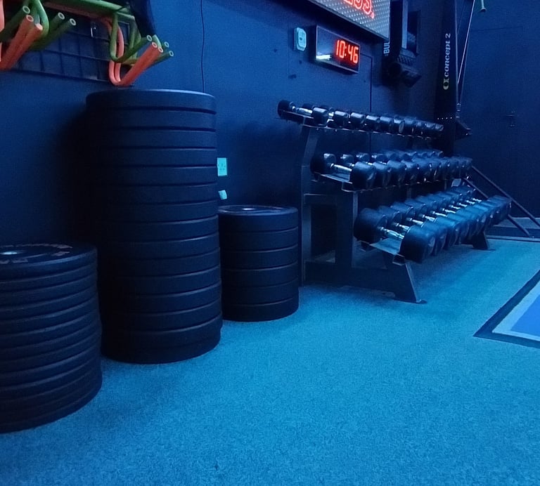 Bumper plates and dumbbells in a gym. There is a treadmill in thebackground and a black wall