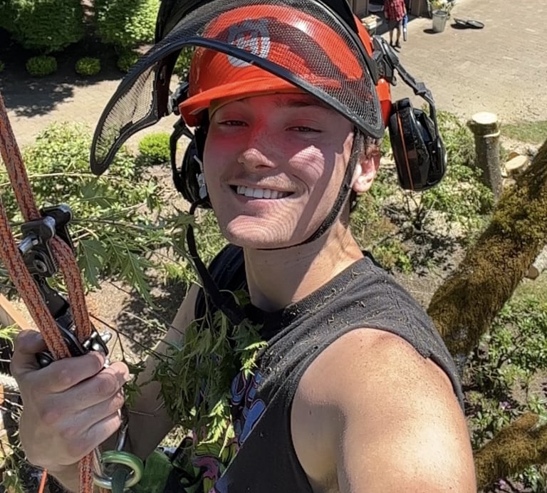 Arborist in a tree with climbing gear on