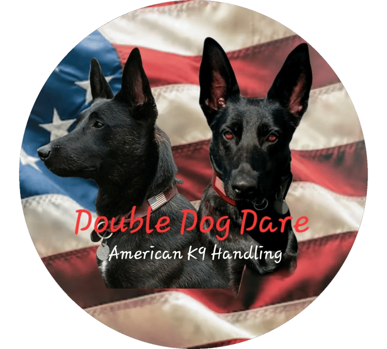 2 Dutch Shepherds and American flag Logo
