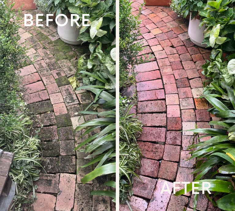 Before and after comparison of pressure washing a mossy brick garden pathway