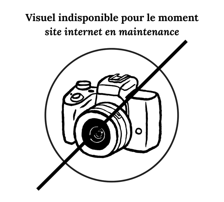 Appareil photo barré pour informer que l'image est indisponible pour maintenance du site internet.