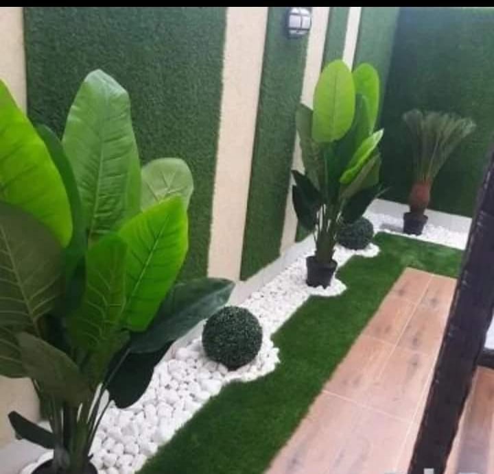 نباتات الزينة والأشجار 