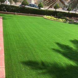 العشب الصناعي والعشب الطبيعي 