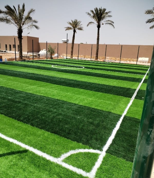 الملاعب الرياضية  