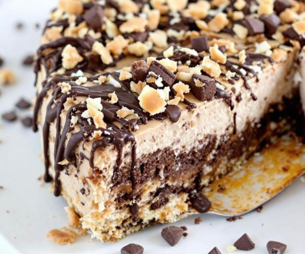 Samoa Cheesecake