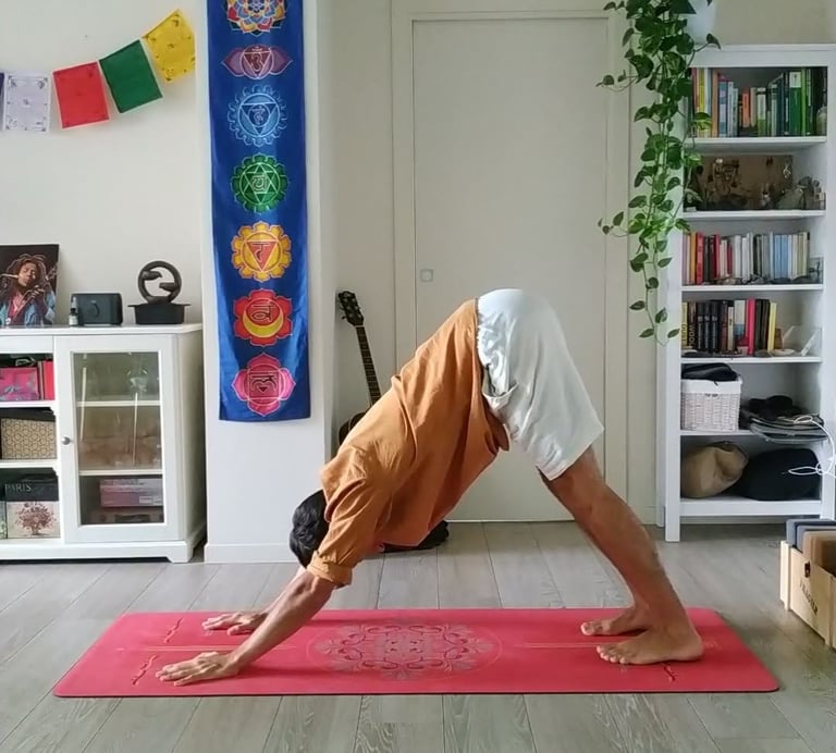 yoga terapeutico a parma
