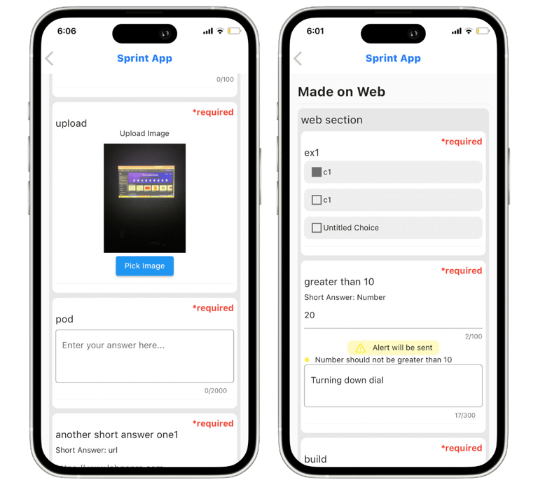 form filler on iphone application