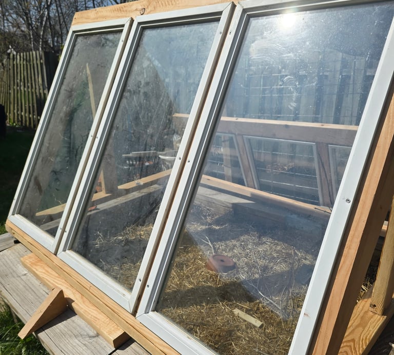 A homemade wooden cold frame garden box with glass windows for seed starting and plant protection.
