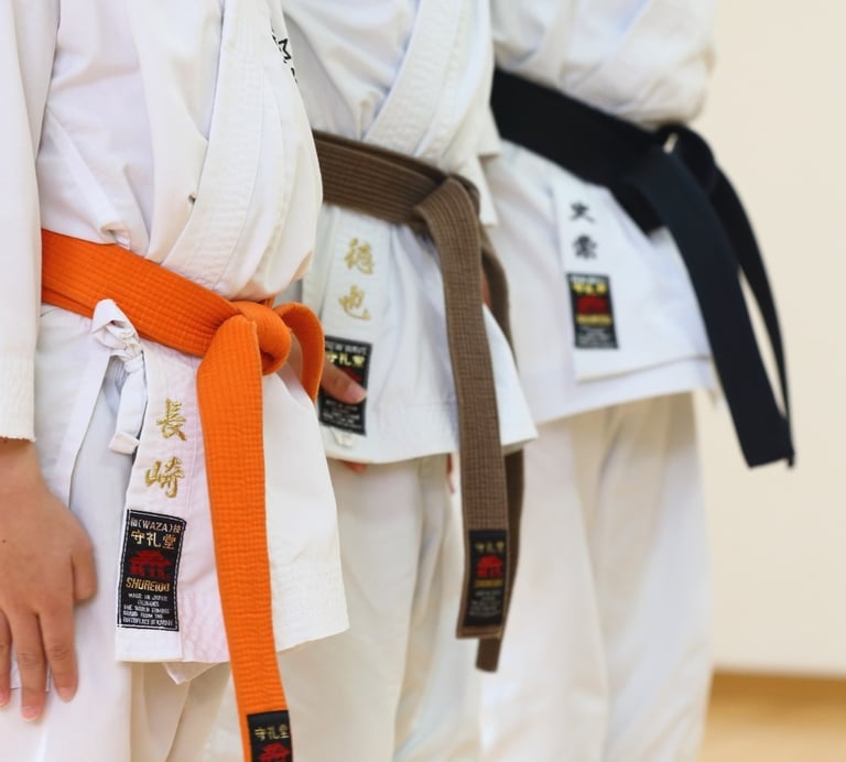 Rongzhiyue: Karate belts