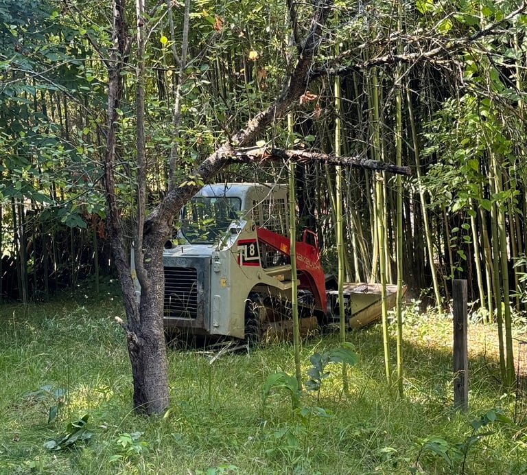 Brush removal and overgrowth clearing in Hickory NC using skid steer equipment