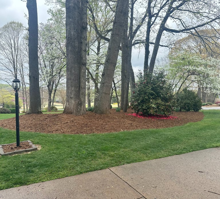 Landscape mulch installation in Newton NC around trees and backyard planting beds
