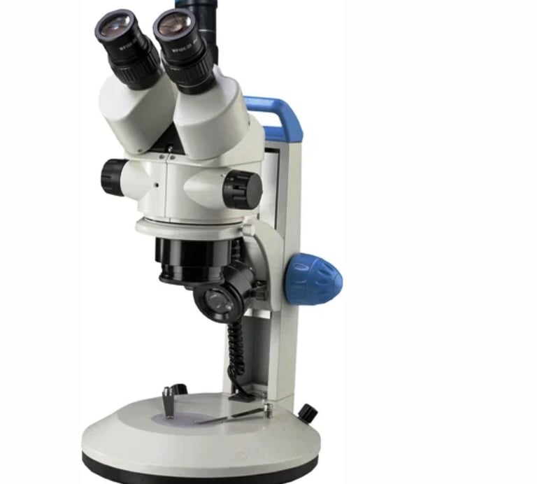 #stereo-microscope