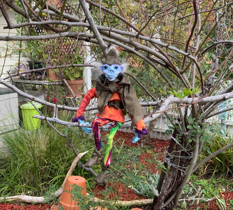 A small Forest imp spotted in tree