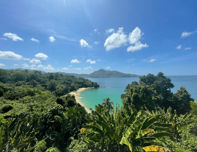 Panoramablick auf eine tropische türkisfarbene Bucht mit Sandstrand, umgeben von üppigem Dschungen