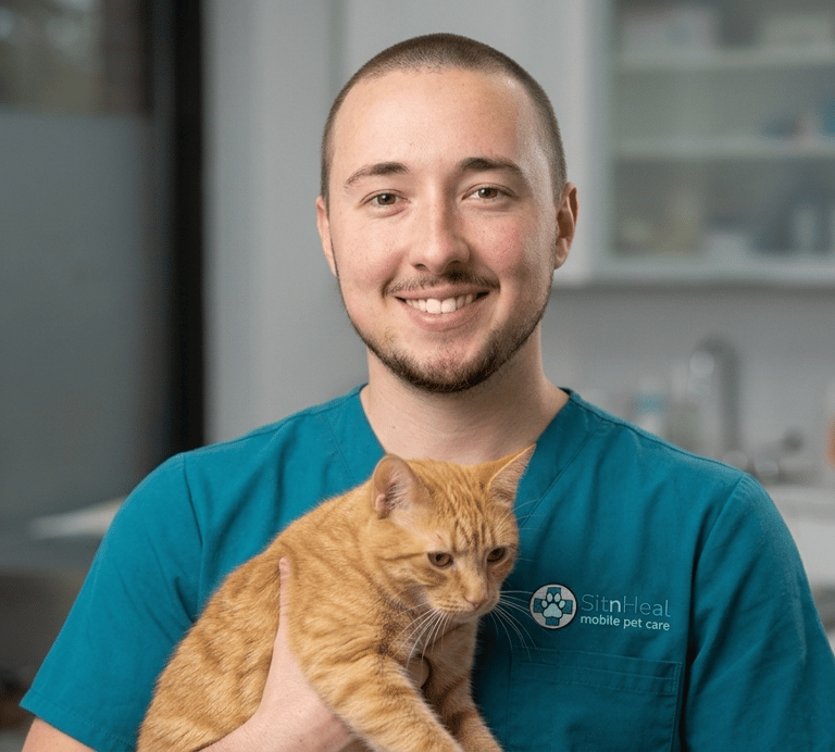 A smiling male aide in blue scrubs holding an orange tabby cat in a white room with cabinets