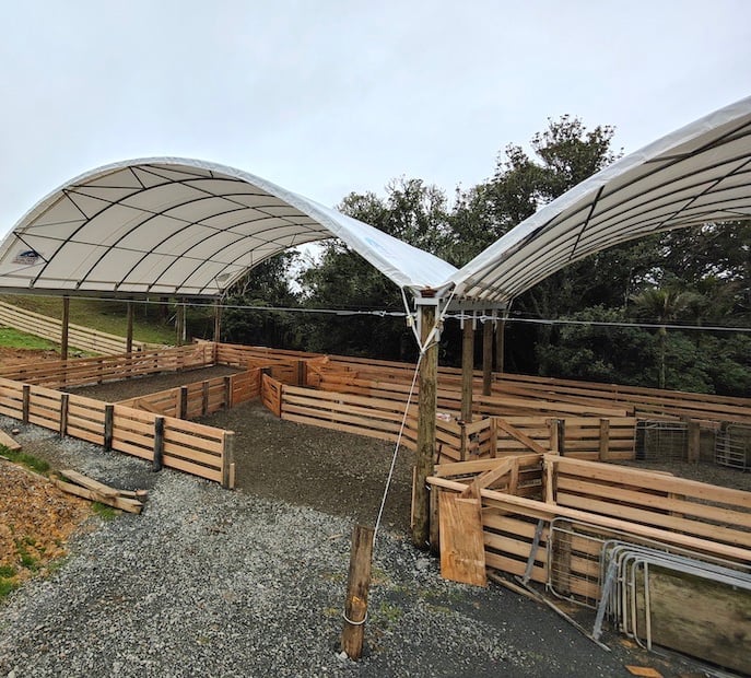 New build sheep yards - CHR Builders