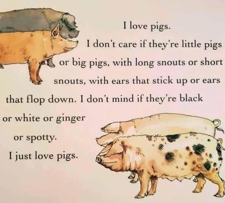 Illustration of various farm pigs with a poem about loving all types of pig breeds.