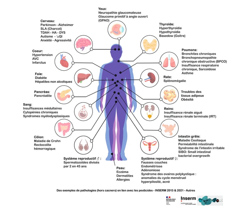 PESTICIDES SANTÉ MALADIES TROUBLES