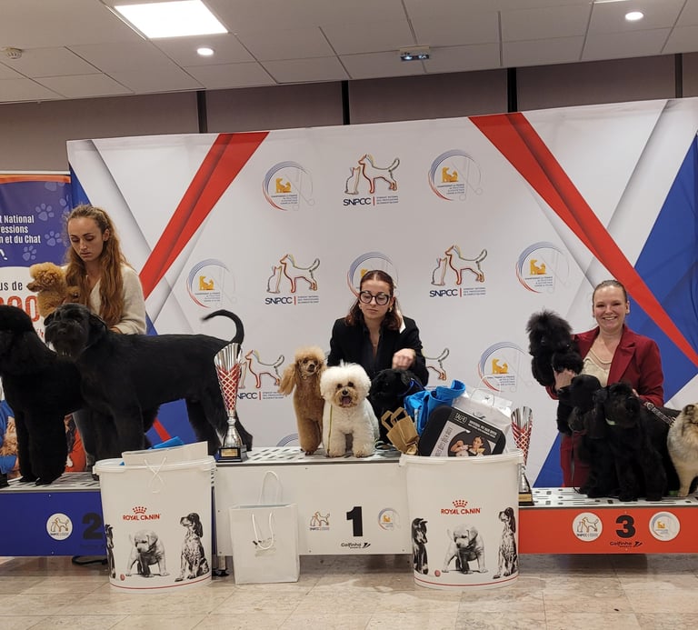 Championnat de France de toilettage 2025