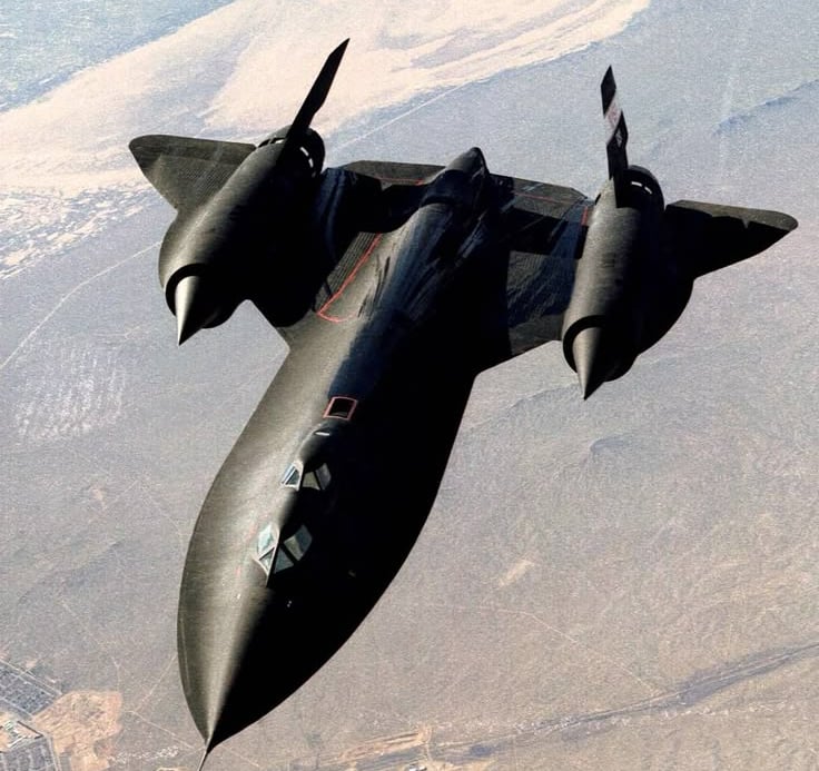 Blackbird en pleno vuelo