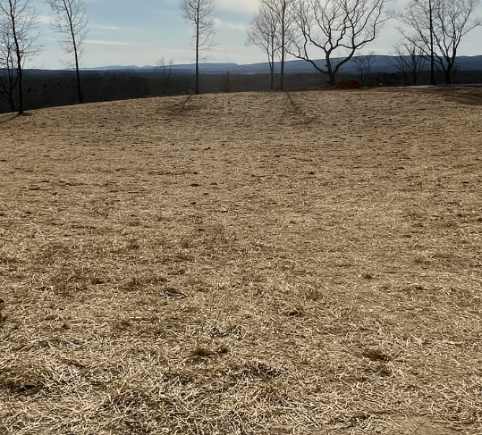 lawn seeding on fresh dirt