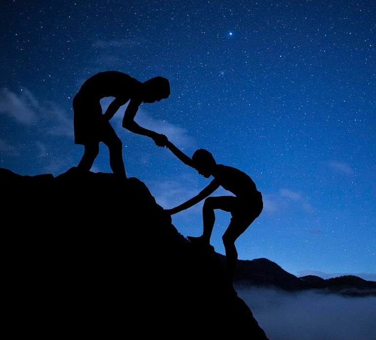 two people holding hands on a mountain top