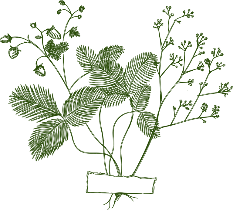 feuillage décoratif