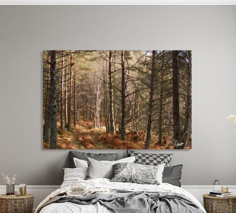 Canvas Print on a bedroom wall with a forest wall printed on it.  