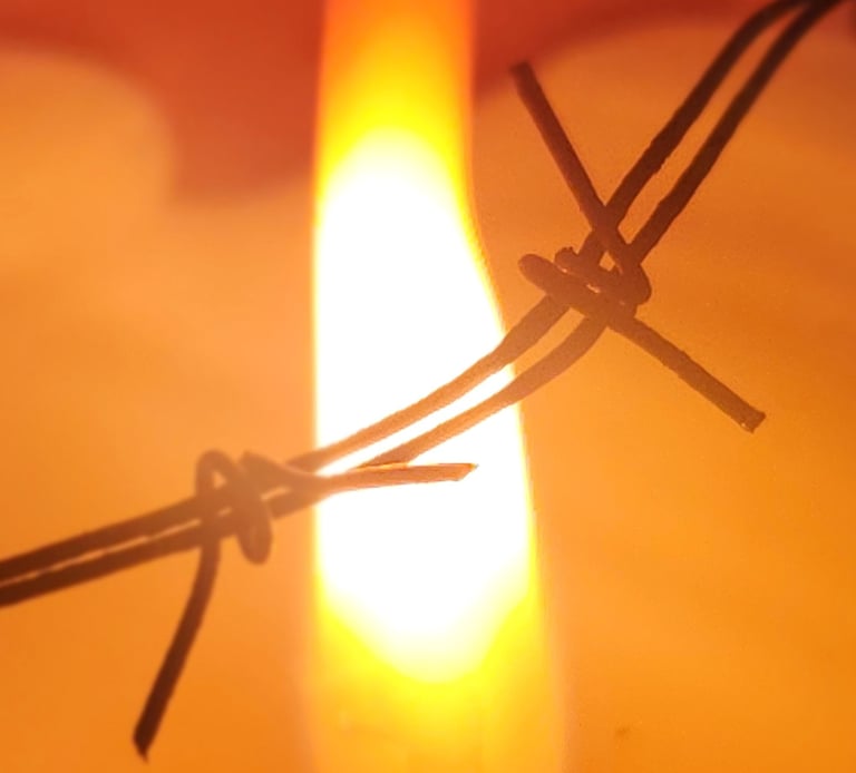 A flame on barbed wire. A common description for endometriosis pain.