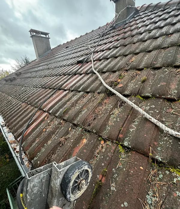 Toiture en tuiles encrassée par la mousse, le lichen et les aiguilles de pin avant nettoyage à Montmorency 95