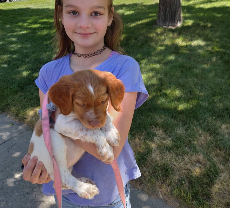 girl holding puppy dog in West Jordan Utah