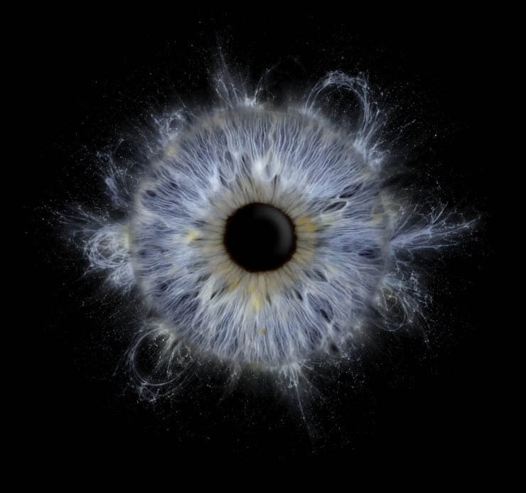Iris Yeux Bleu