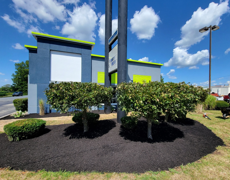 Commercial landscaping and hardscapaing in Indidnapolis by Kingdom Landscape