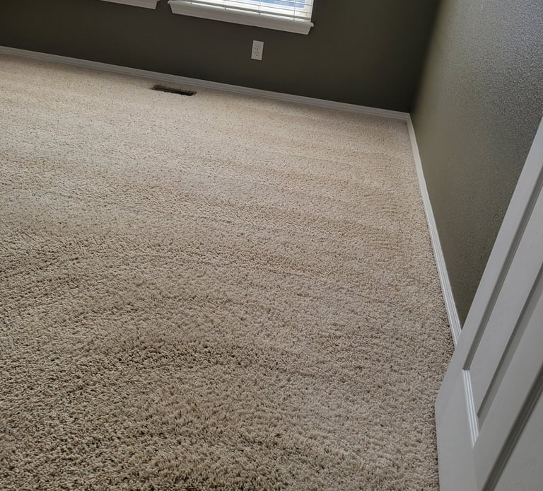 Spot Free, Odor Free, Chemical Free, Beautiful Result w/ King Organic Clean, Organic Carpet Cleaning