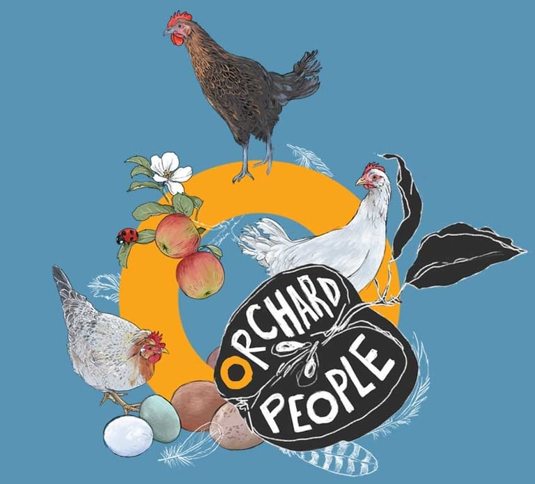 Orchard Eggs Illustration featuring hand-drawn depictions of our fantastic flock of heritage hens.