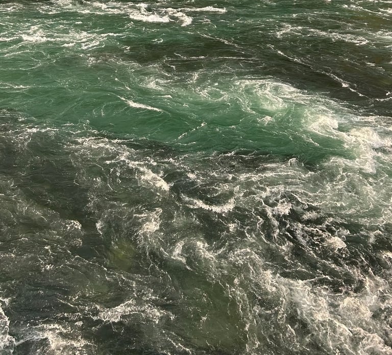 <img src="ornamentas.png" alt="">