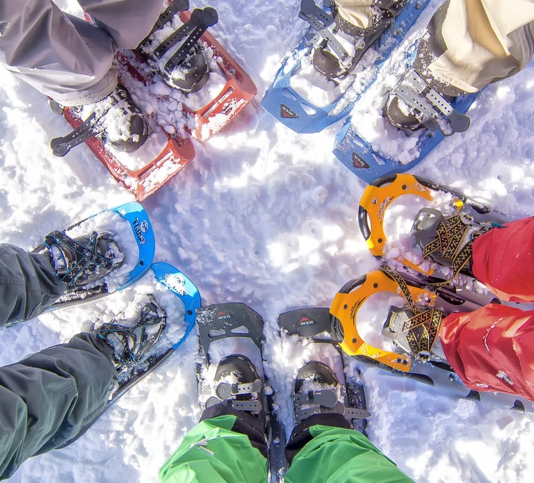 grupo de raquetas de nieve en circulo