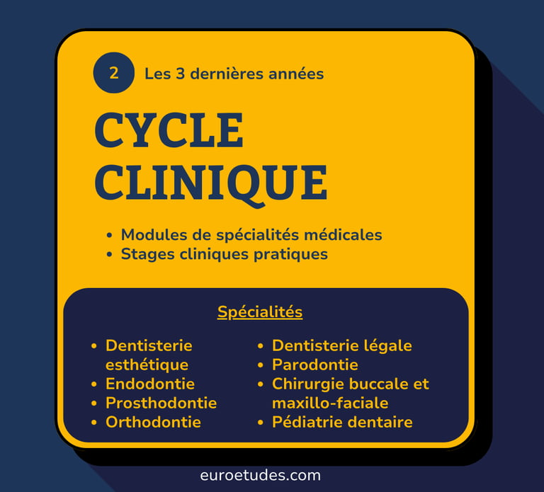 Schéma des spécialisations lors d'études dentaire en roumanie